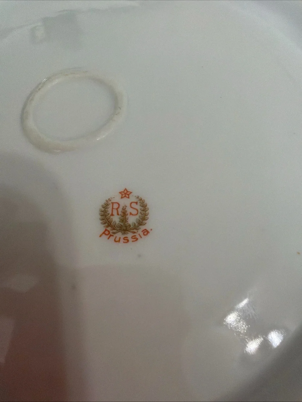 Floral Porcelain Serving Tray with Gold Trim
